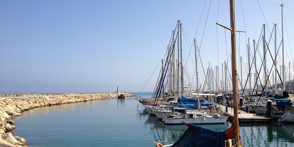Image of sailboats in the marina