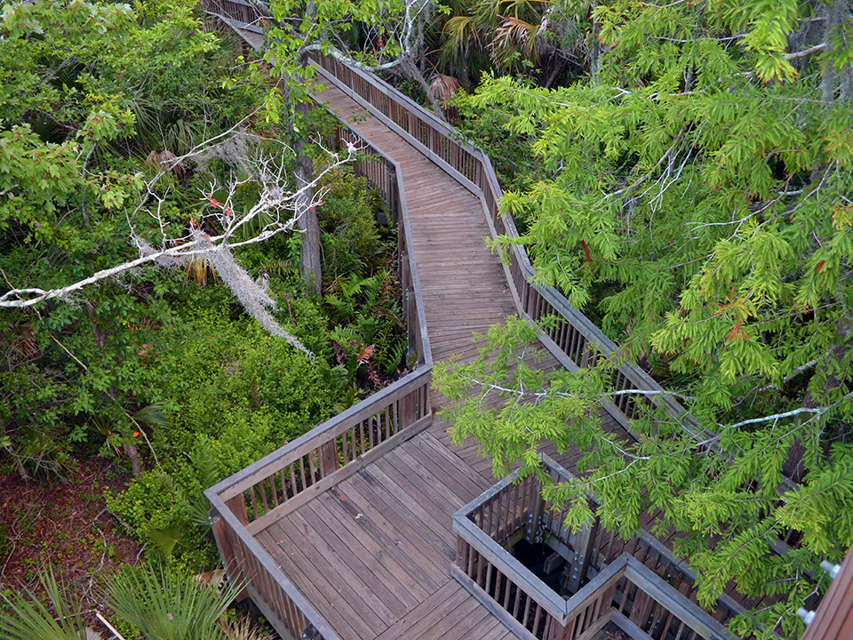 Image of a wooden deck and path