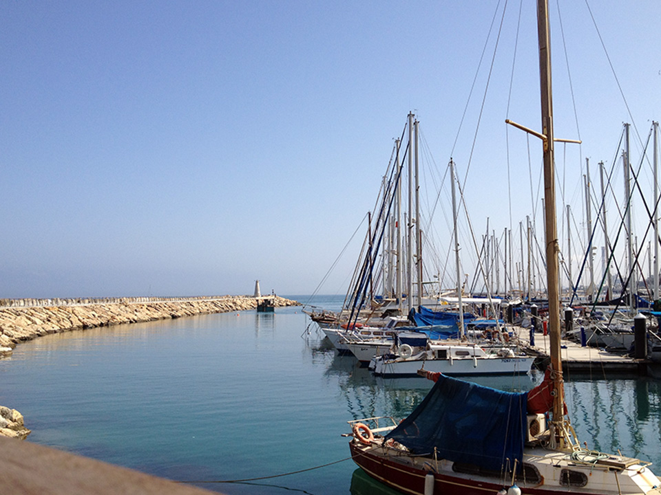 Image of the marina with sailboats