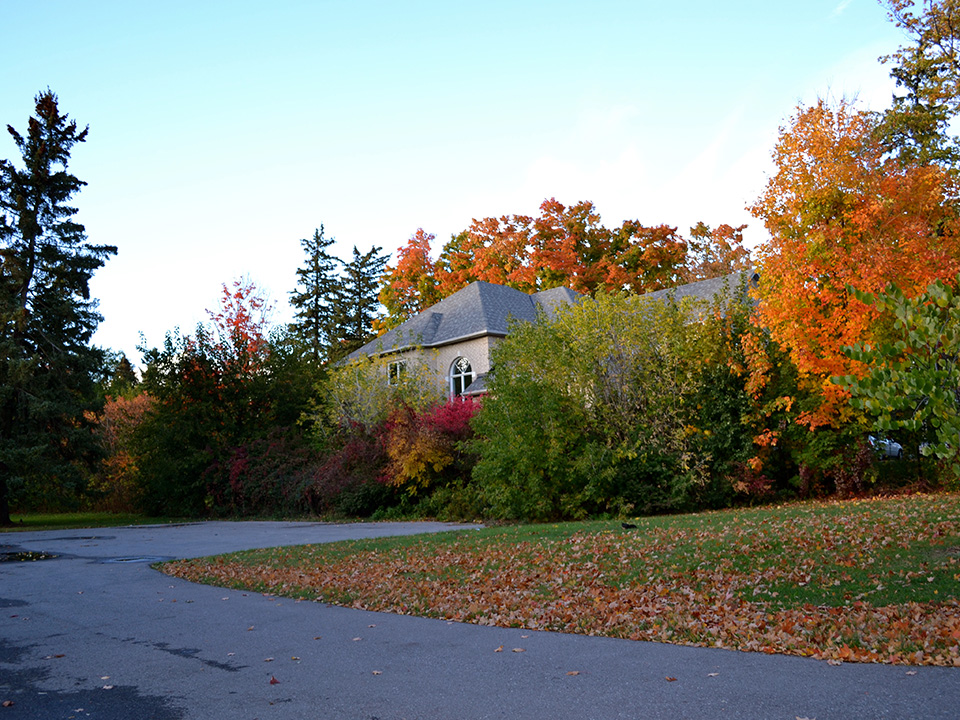 Image of a house surrounded by trees